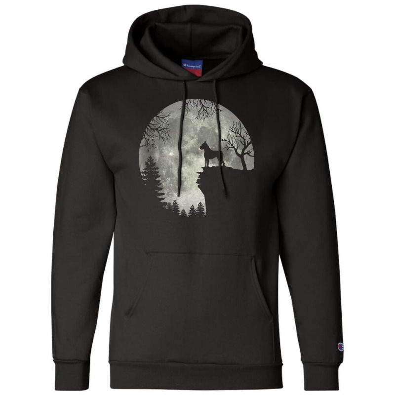 Boxer Dog And Moon Halloween Champion Hoodie | Artistshot