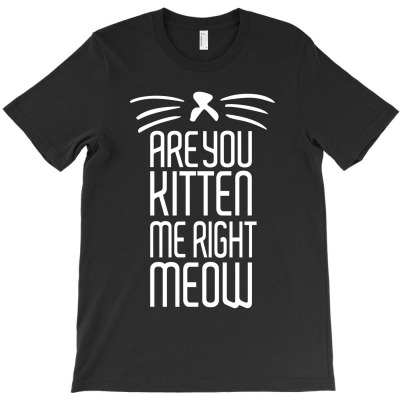 Are You Kitten Me Right Meow T-shirt Designed By Christopher Guest