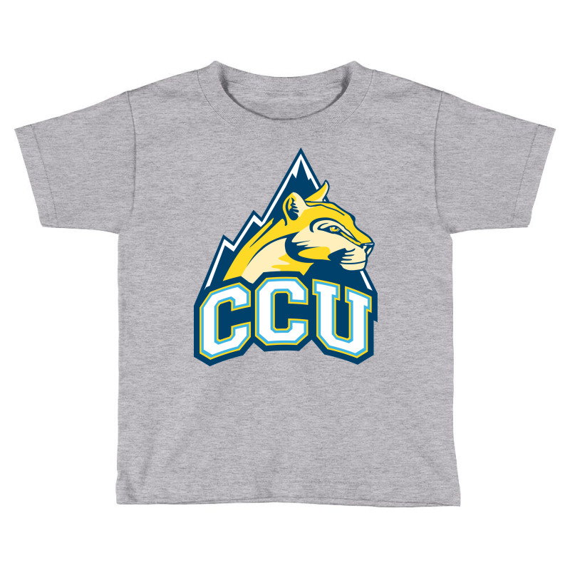 Colorado Christian Toddler T-shirt | Artistshot