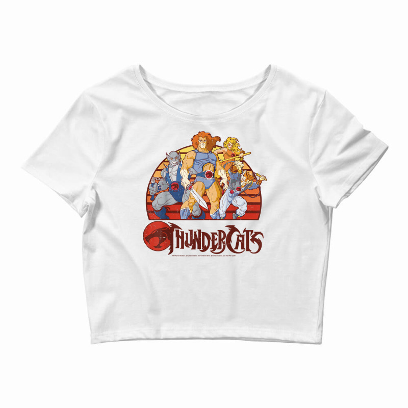 Thundercats Group Retro Sunset T Shirt Crop Top by diles | Artistshot