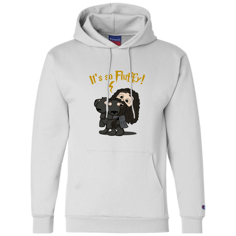 fluffy champion hoodie