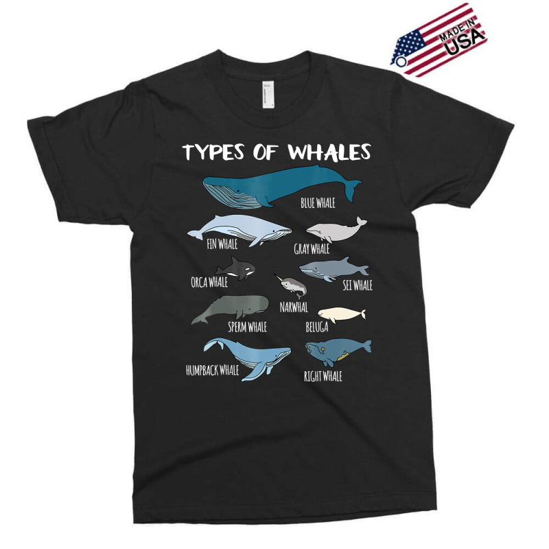 Types Of Whales Cute Ocean Mammals Guide T Shirt Exclusive T-shirt By ...