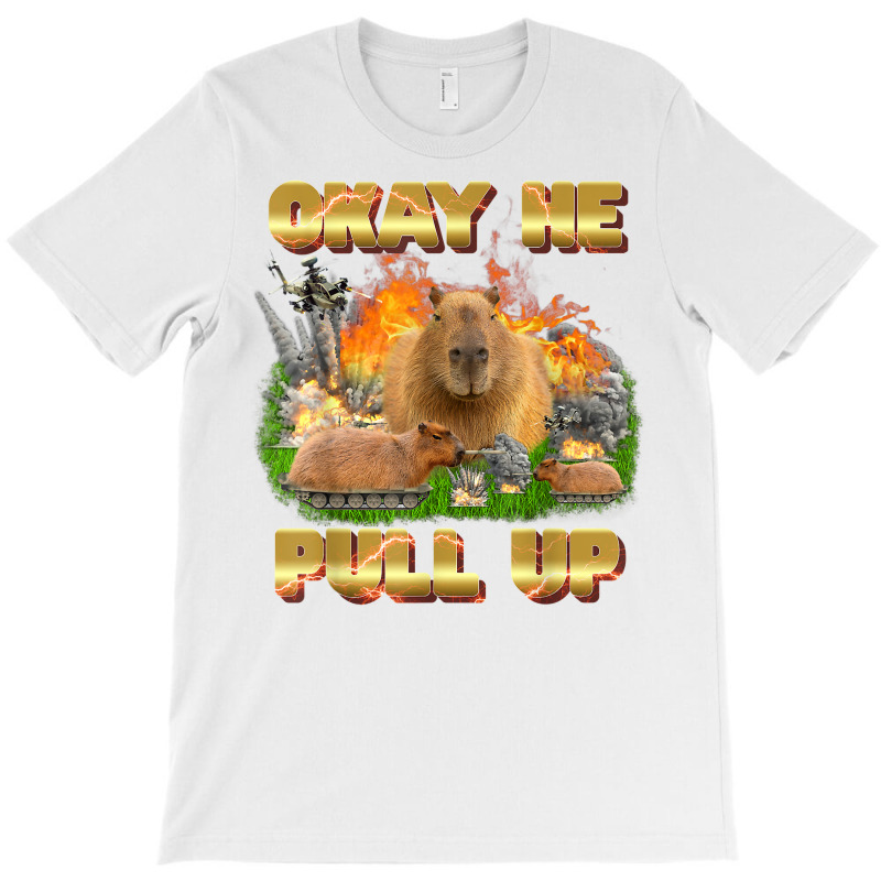 Okay He Pull Up Tee Capybara Fire Tee Capybara Lover Gift T Shirt T-shirt | Artistshot