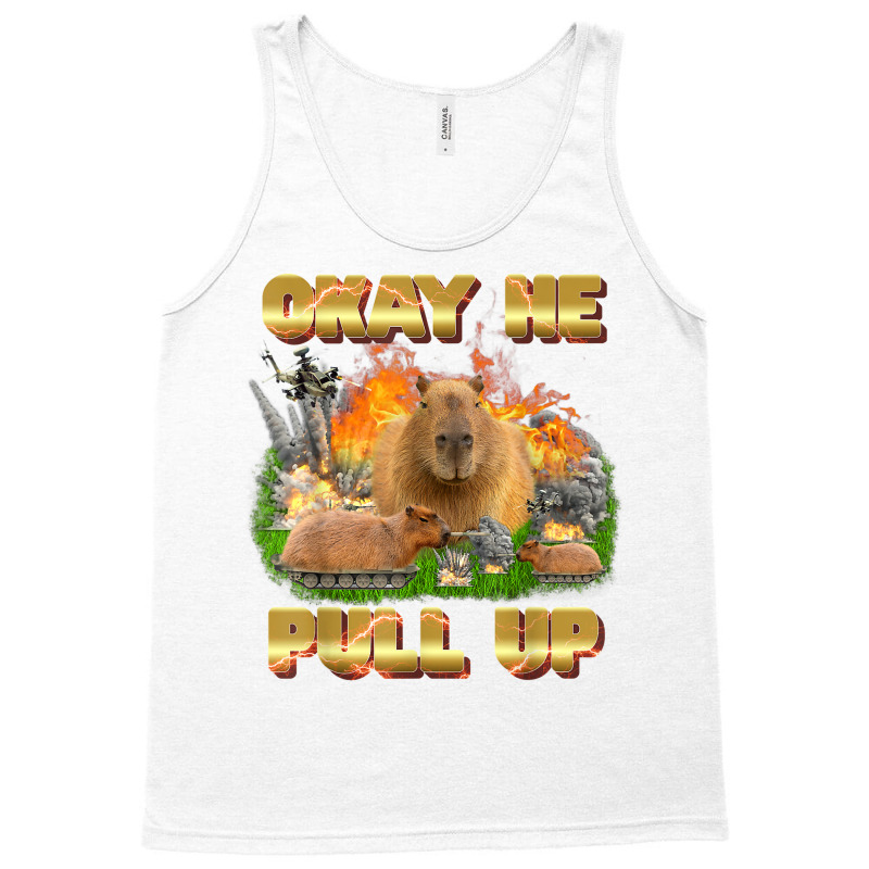 Okay He Pull Up Tee Capybara Fire Tee Capybara Lover Gift T Shirt Tank Top | Artistshot