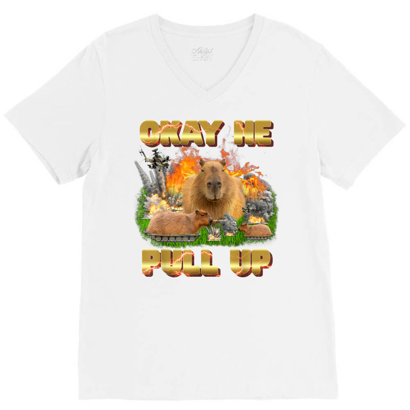 Okay He Pull Up Tee Capybara Fire Tee Capybara Lover Gift T Shirt V-neck Tee | Artistshot