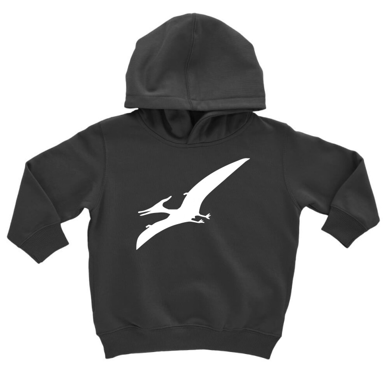 Pterosaur Dinosaur T Shirt Toddler Hoodie | Artistshot