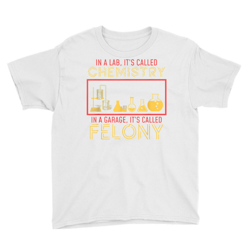 Lab Chemistry Garage Felony Nerd Geek T Shirt Youth Tee | Artistshot