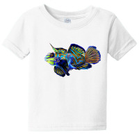 Womens Mandarin Goby Dragonet Saltwater Reef Aquarium Fish Tank V Neck Baby Tee | Artistshot