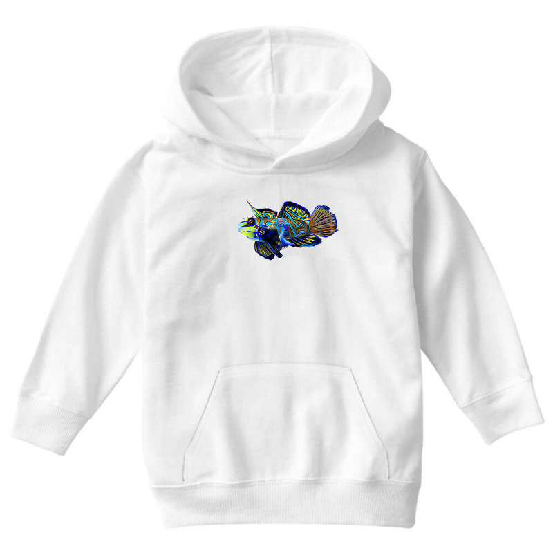 Womens Mandarin Goby Dragonet Saltwater Reef Aquarium Fish Tank V Neck Youth Hoodie by CrespinoEllawyn | Artistshot