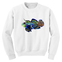 Womens Mandarin Goby Dragonet Saltwater Reef Aquarium Fish Tank V Neck Youth Sweatshirt | Artistshot