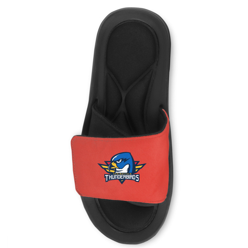 The Springfield.thunderbirds Sport Slide Sandal | Artistshot