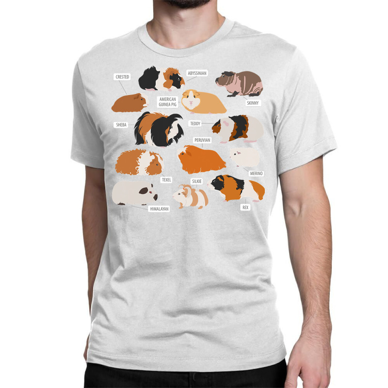 Guinea Pig Breeds Shirt Shirt Costume Clothing Accessories T Shirt Classic T-shirt | Artistshot