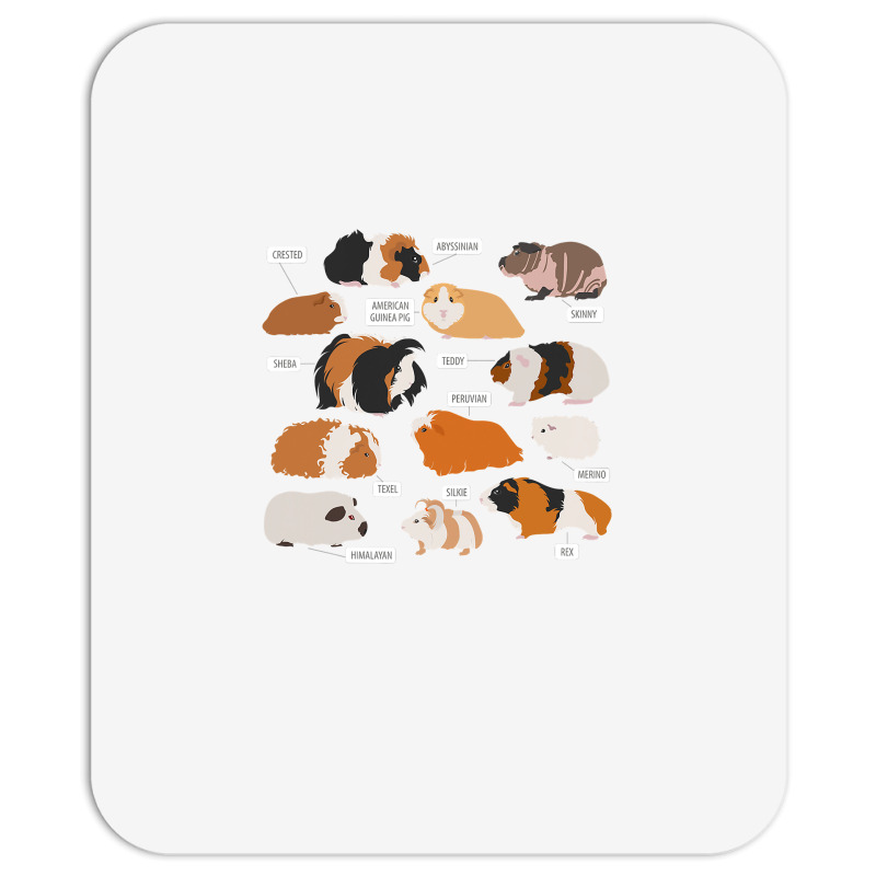 Guinea Pig Breeds Shirt Shirt Costume Clothing Accessories T Shirt Mousepad | Artistshot