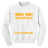 What Part Of Don T You Understand  Electronic Engineer Gift Youth Sweatshirt | Artistshot