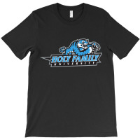 Holy Family University, Tigers T-shirt | Artistshot