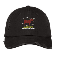 Goat Lovers Apparel Pet Meme Animal Pun Funny Kalahari Goat Vintage Cap | Artistshot