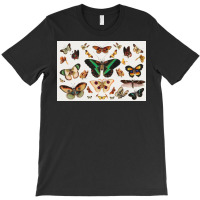 Butterfly  Vintage Sticker T-shirt | Artistshot