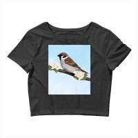 House Sparrow Bird Birder Birdlover Birdwatcher Biologist Premium Crop Top | Artistshot