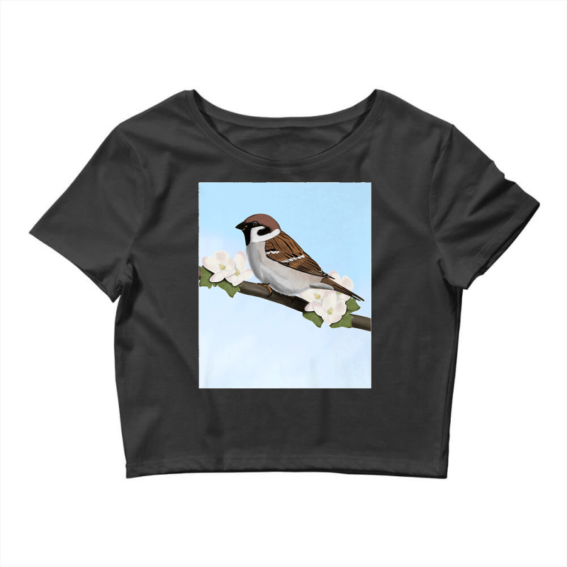 House Sparrow Bird Birder Birdlover Birdwatcher Biologist Premium Crop Top by WirtzRichard | Artistshot