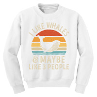 I Like Whales And Maybe 3 People Funny Whale Sea Ocean Gifts Sweatshir Youth Sweatshirt | Artistshot