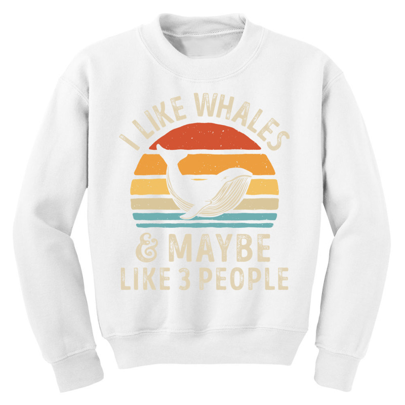 I Like Whales And Maybe 3 People Funny Whale Sea Ocean Gifts Sweatshir Youth Sweatshirt by KaseeDheera | Artistshot