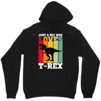 Just A Boy Who Loves T Rex Dinosaur Premium Unisex Hoodie | Artistshot