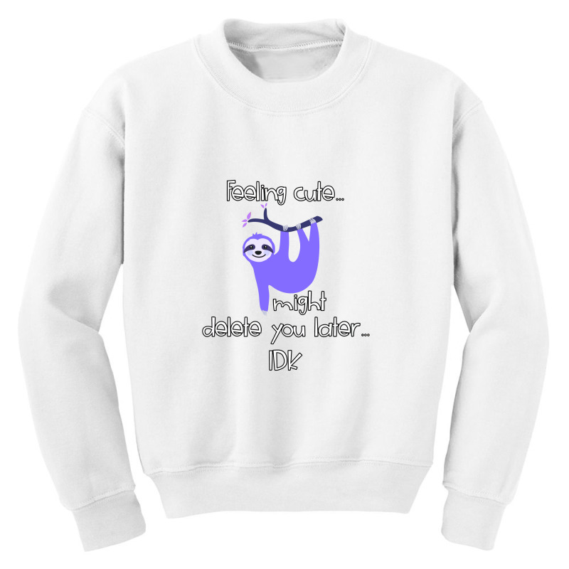 Feeling Cute Challenge Hanging Sloth Might Delete You Later Youth Sweatshirt by hidupmereka1 | Artistshot