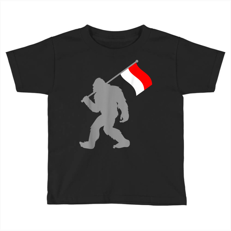 Indonesian Flag On Indonesia Flag T Shirt Toddler T-shirt | Artistshot