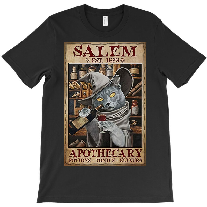 Salem Est. 1629 T-Shirt by Kelly S | Artistshot