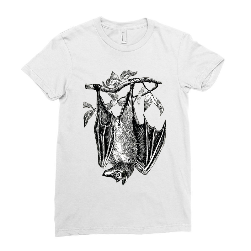 Classic Film  Fruit Bat Funny Gift Ladies Fitted T-Shirt by AlisonArtists | Artistshot