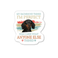 My Dachshund Thinks Tshirt Sticker | Artistshot