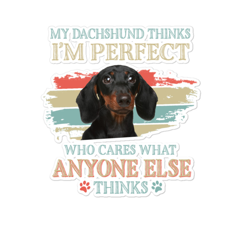 My Dachshund Thinks Tshirt Sticker | Artistshot