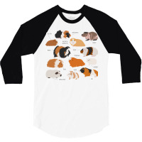 Guinea Pig Breeds Shirt Shirt Costume Clothing Accessories T Shirt 3/4 Sleeve Shirt | Artistshot