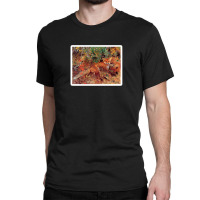 Capercaillies Courting By Ferdinand Von Wright 1862 111967883 Classic T-shirt | Artistshot