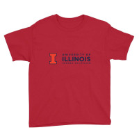 University Of Illinois At Urbana Champaign Youth Tee | Artistshot