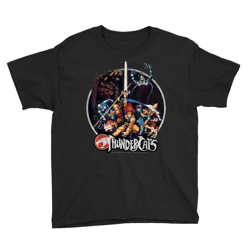 Thundercats Group Shot Vintage Circle T Shirt Youth Tee by Jeremy_Hutson | Artistshot