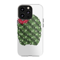 Cool Cactus Halloween Costume Lover Lazy Diy Iphone 13 Pro Case | Artistshot