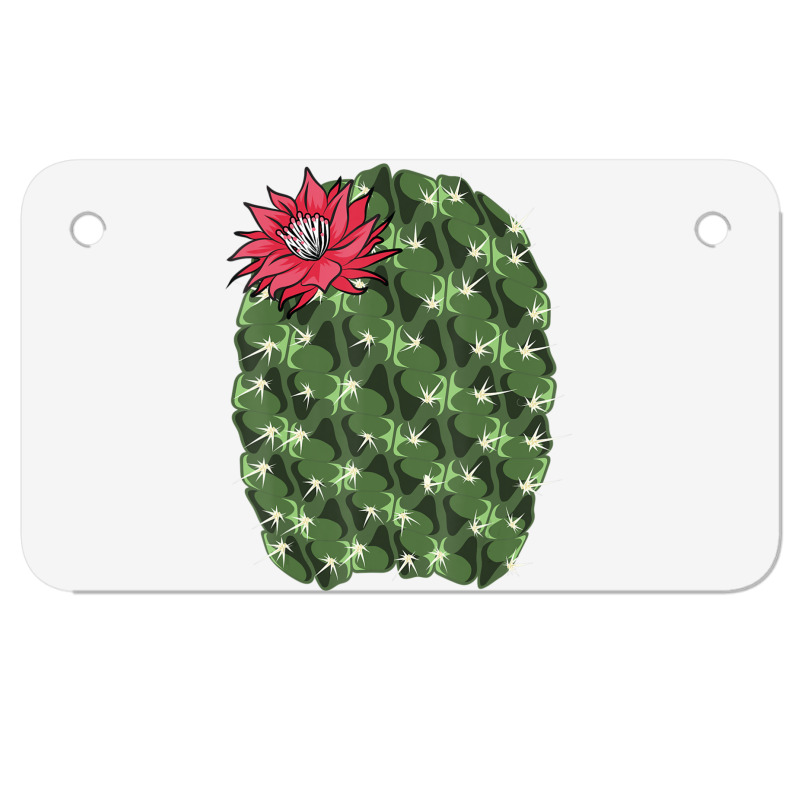 Cool Cactus Halloween Costume Lover Lazy Diy Motorcycle License Plate | Artistshot