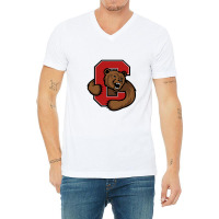 Cornell B3g R3d V-neck Tee | Artistshot