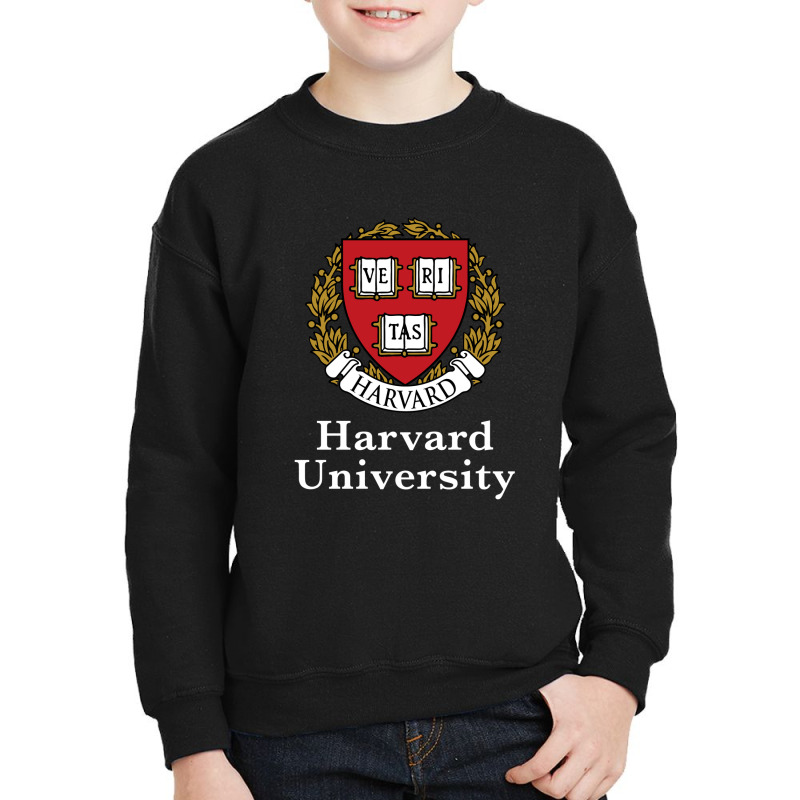 Harv4rd University Youth Sweatshirt by cai kahirupan | Artistshot