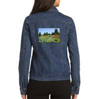 Lily Pads In The Shallows French River Delta Ladies Denim Jacket | Artistshot