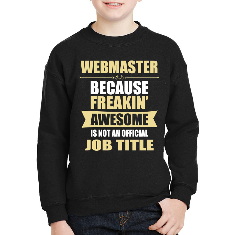 Webmaster Because Freakin' Awesome Isn't A Job Title Youth Sweatshirt | Artistshot