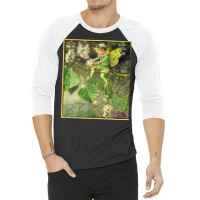 Cicely Mary Barker The Poplar Tree 3/4 Sleeve Shirt | Artistshot