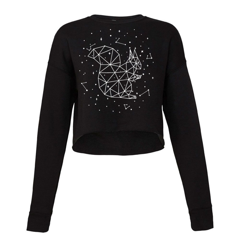 Sternbild Squirrel Constellation Eastern Gray Fox Squirrel Cropped Sweater | Artistshot