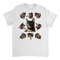 Tortie Cat Tortoiseshell Overload Multi Cat T Shirt Classic T-shirt | Artistshot