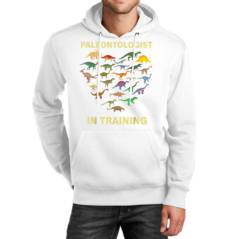 Paleontologist In Training Dinosaurs Dino Kids Boys Girls T Shirt Unisex Hoodie | Artistshot