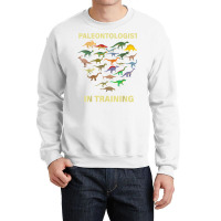 Paleontologist In Training Dinosaurs Dino Kids Boys Girls T Shirt Crewneck Sweatshirt | Artistshot