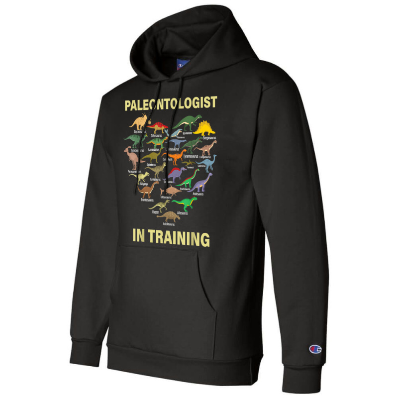 Paleontologist In Training Dinosaurs Dino Kids Boys Girls T Shirt Champion Hoodie | Artistshot