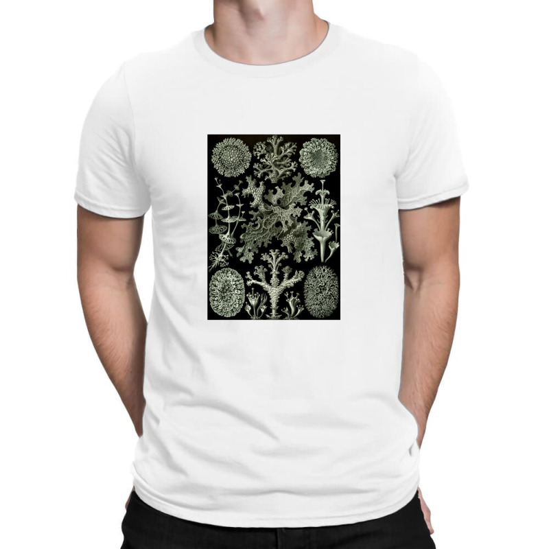 Lichen By Ernst T-Shirt by acesenpaii | Artistshot