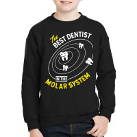 The Best Dentist In The Molar System   Dds Dentistry T Shirt Youth Sweatshirt | Artistshot